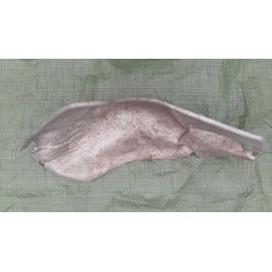 OSŁONA TERMICZNA BAKU PALIWA NISSAN PRIMERA P12