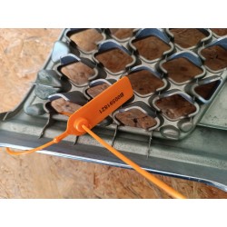 KRATKA GRILL ATRAPA ZDERZAKA PRZÓD 62310EQ303 NISSAN X-TRAIL T30 LIFT CHROM