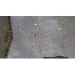 KLAPA BAGAŻNIKA + KAMERA NISSAN PRIMERA P12 LIFT