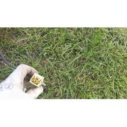 FOTEL PRAWY PASAŻERA NISSAN MURANO Z50