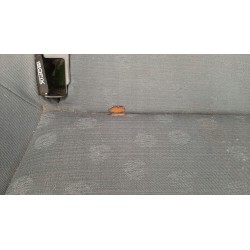 KANAPA SIEDZISKO NISSAN PRIMERA P12 LIFT