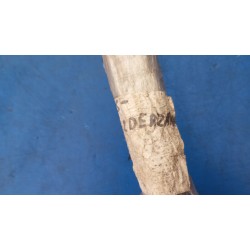 USZCZELKI ZDERZAKA GÓRNE SUZUKI GRAND VITARA II 2