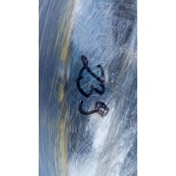 LAMPA PRAWY PRZÓD EUROPA 260109891R RENAULT ZOE 2012-