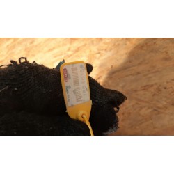 ALFA ROMEO GIULIETTA LAMPA TYLNA TYŁ LEWA 0050513613