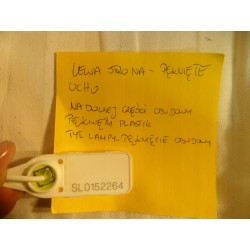 LAMPA LEWY PRZÓD EU SKODA KAROQ 2017- 57B941015B FULL LED