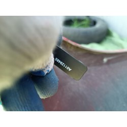 ZDERZAK PRZÓD PRZEDNI ORYGINAŁ 71711-62R SUZUKI IGNIS III 3 2016-