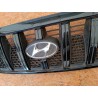 KRATKA GRILL ATRAPA ZDERZAKA PRZÓD 86251-H1030 HYUNDAI TERRACAN 2001-