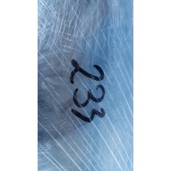 LAMPA LEWY PRZÓD REFLEKTOR XENON NISSAN 350Z