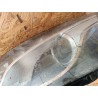 LAMPA LEWY PRZÓD EU 10111-17075 AUDI Q5 I 2008- XENON 8R0941029