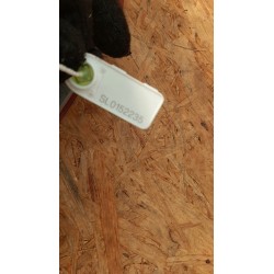 MERCEDES W210 SEDAN LAMPA TYLNA TYŁ LEWA W KLAPĘ A2108200964