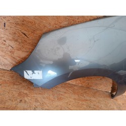 RENAULT SCENIC III BŁOTNIK LEWY PRZÓD PRZEDNI 631010010R