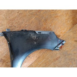 RENAULT SCENIC III BŁOTNIK LEWY PRZÓD PRZEDNI 631010010R