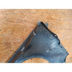 RENAULT SCENIC III BŁOTNIK LEWY PRZÓD PRZEDNI 631010010R