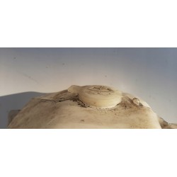 ZBIORNICZEK SPRYSKIWACZY DAIHATSU SIRION I 01+