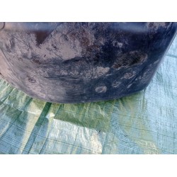 NISSAN PRIMERA P12 HB NADKOLE PRAWY TYŁ