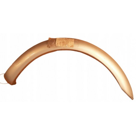 TOYOTA YARIS VERSO I LISTWA NAKŁADKA BŁOTNIKA PRAWY PRZÓD 53087-52010